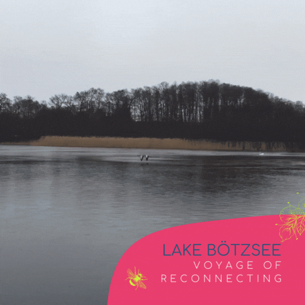 Voyage of Reconnecting - Lake Boetzsee.gif