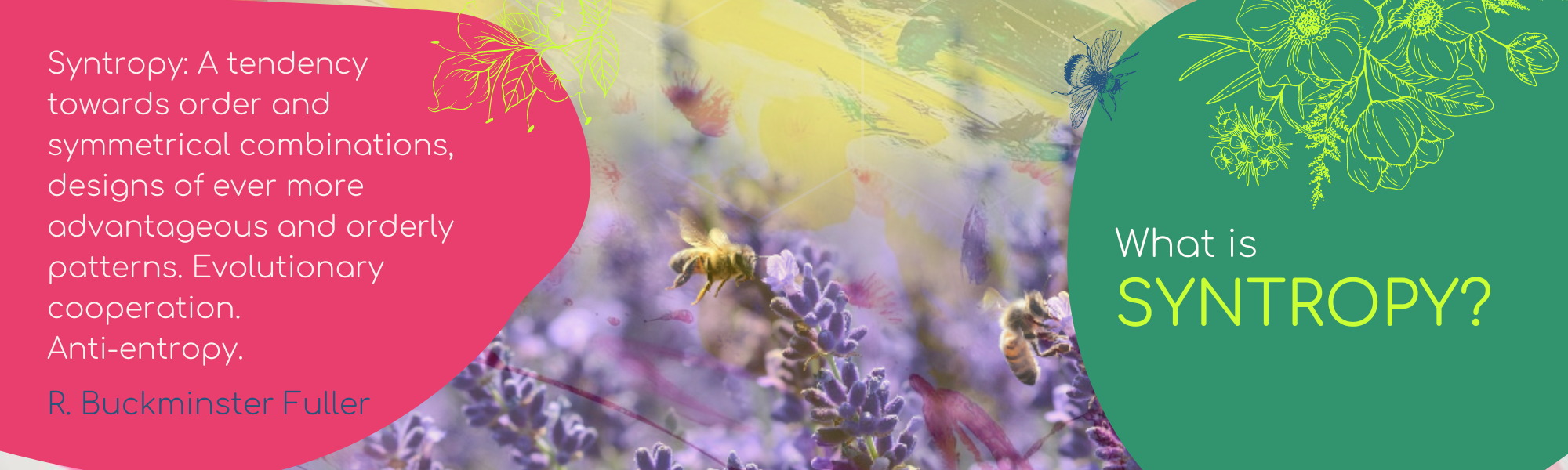 Adventuring Syntropy with Kath - What is Syntropy.png