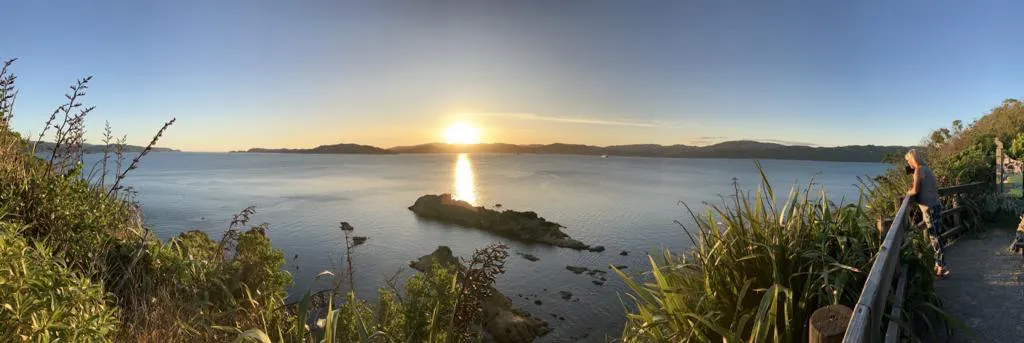 Mutti watching sunset from Matiu Somes Island 01.jpg
