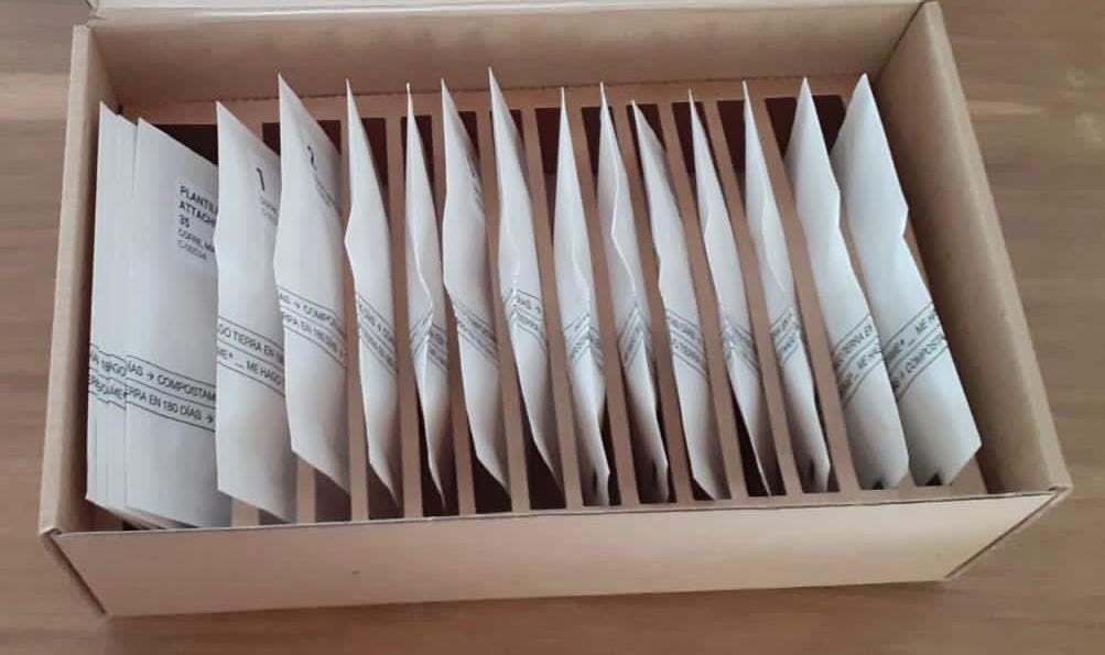 Dentalfab - Caja 1 etapa.jpeg