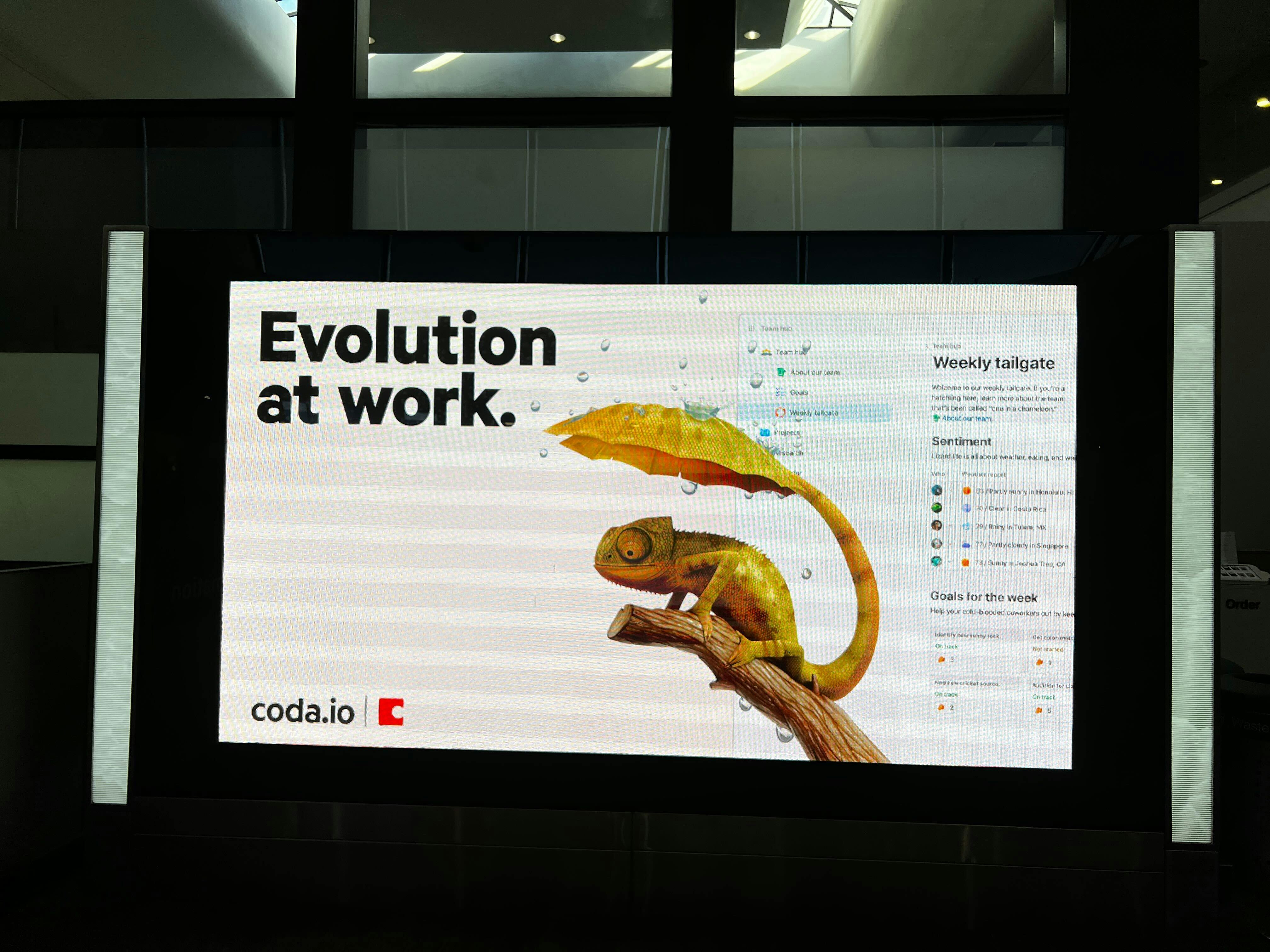 An ad in SFO airport in San Francisco - it features Chamaeleo Umbrello, a lizard with an umbrella tail to block the rain