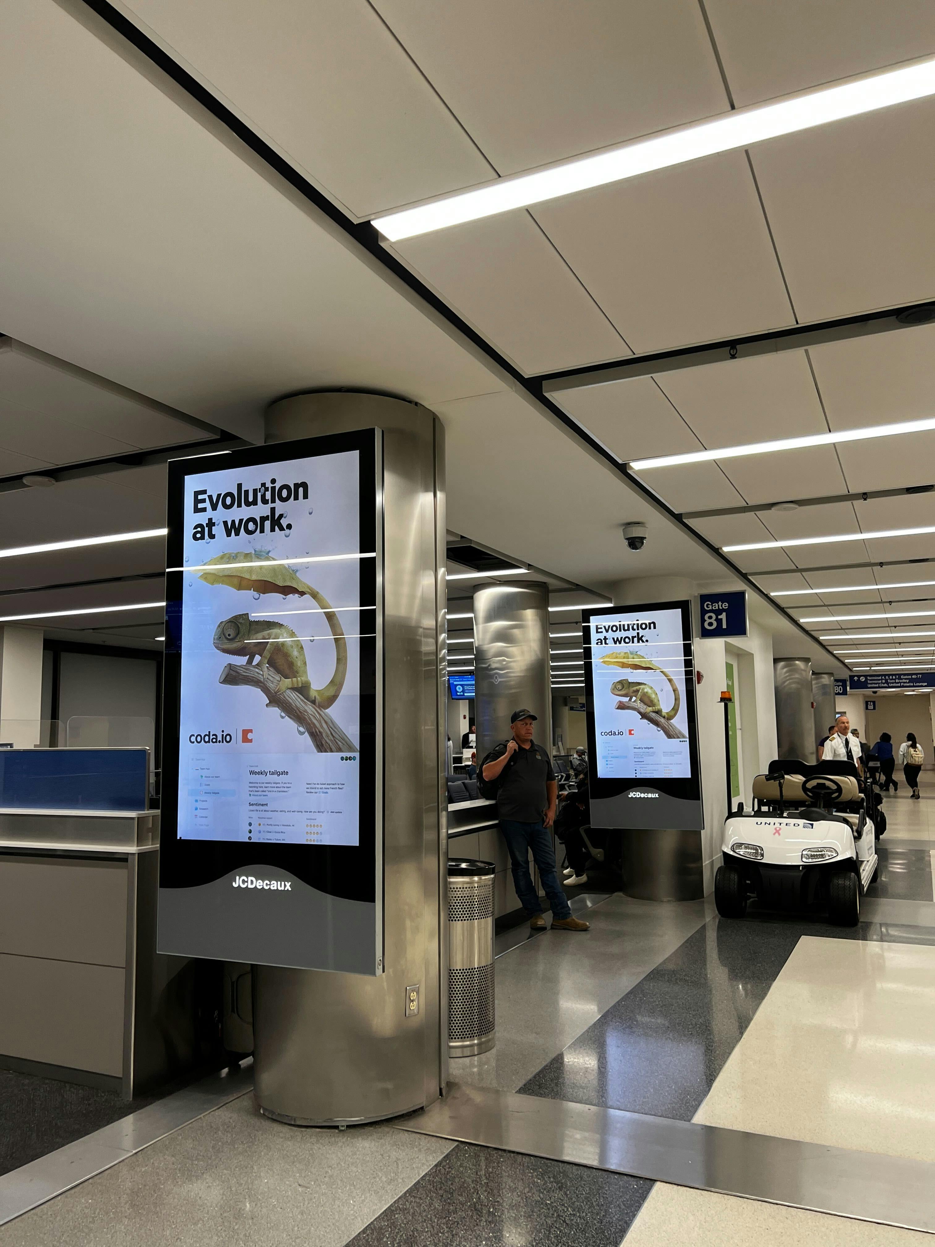 An ad seen in JFK airport in New York - featuring Chamaeleo Umbrello, a lizard with an umbrella tail