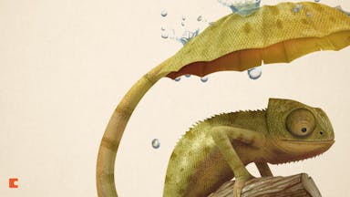 Bg-Lizard-1920x1080.jpg