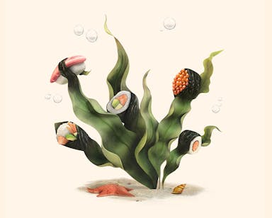 Bento Oceanus - a seaweed plant that yields fully-formed sushi rolls, a sushi plant