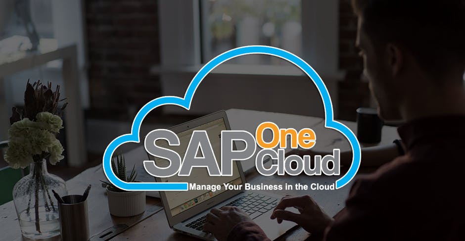 SAP Business One Cloud| Transfinite Innovative Solutions Pvt Ltd.
