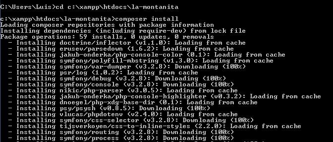 Instalar dependencias de Laravel