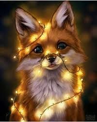 Fox.jfif