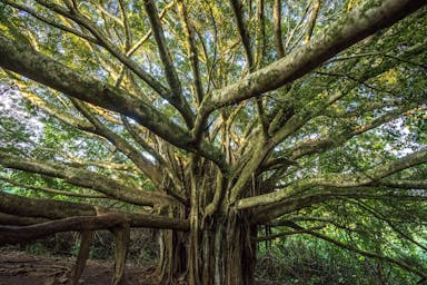 michael-l-gg23QRZihfE-unsplash (1).jpg