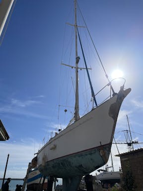 IMG_6674.jpg