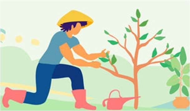 riego y mantenimiento.jpg