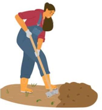 preparar terreno.jpg