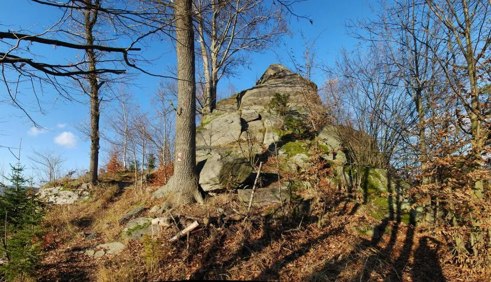 skala-kokes-2023_29_1-172708.jpg