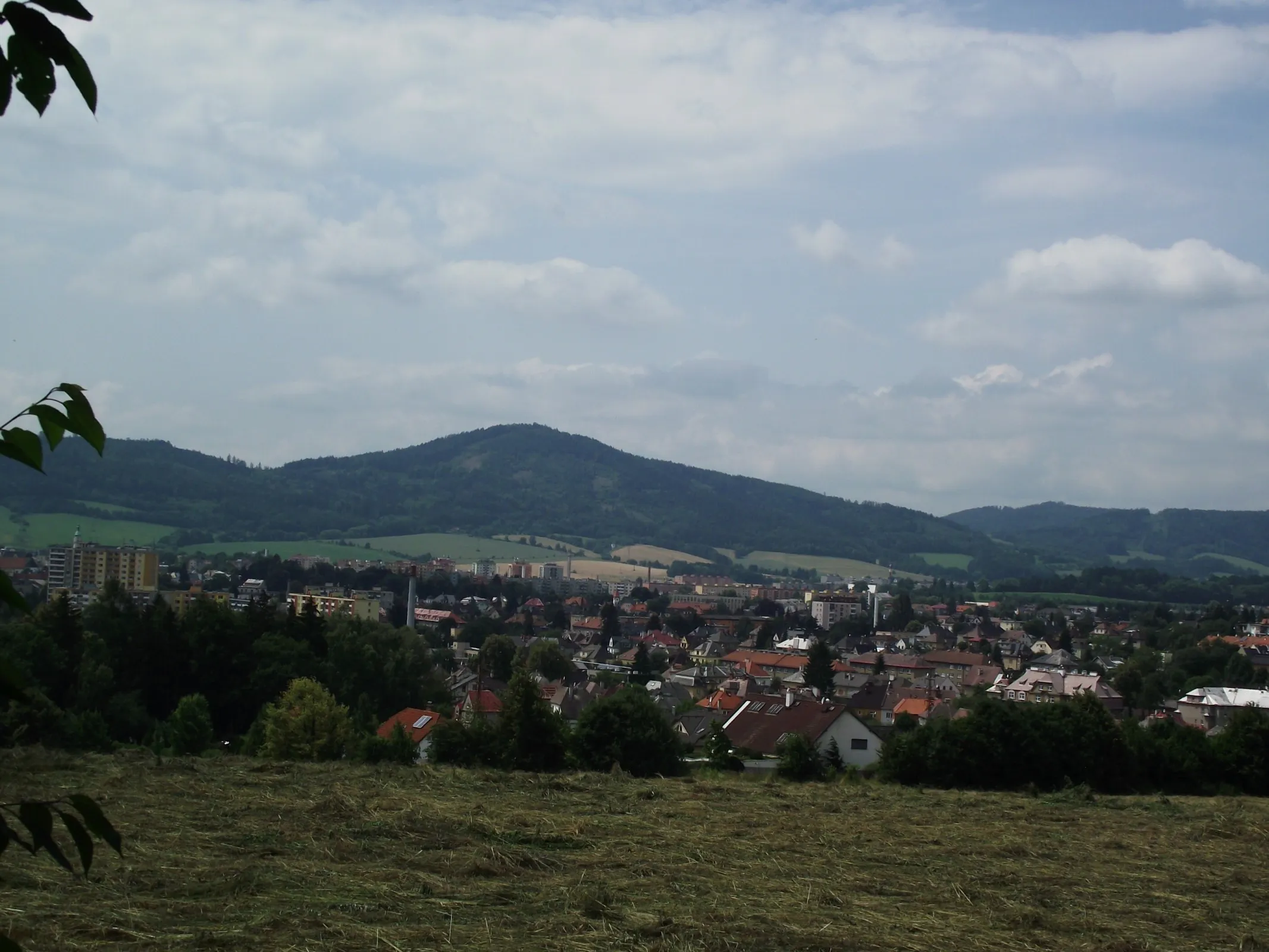 lrg_dscf5543.jpg