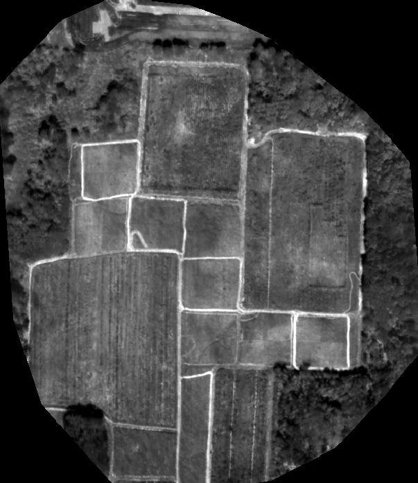 Screenshot 2025-11-02 191545.png