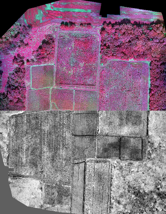 Screenshot 2025-11-02 190922.png