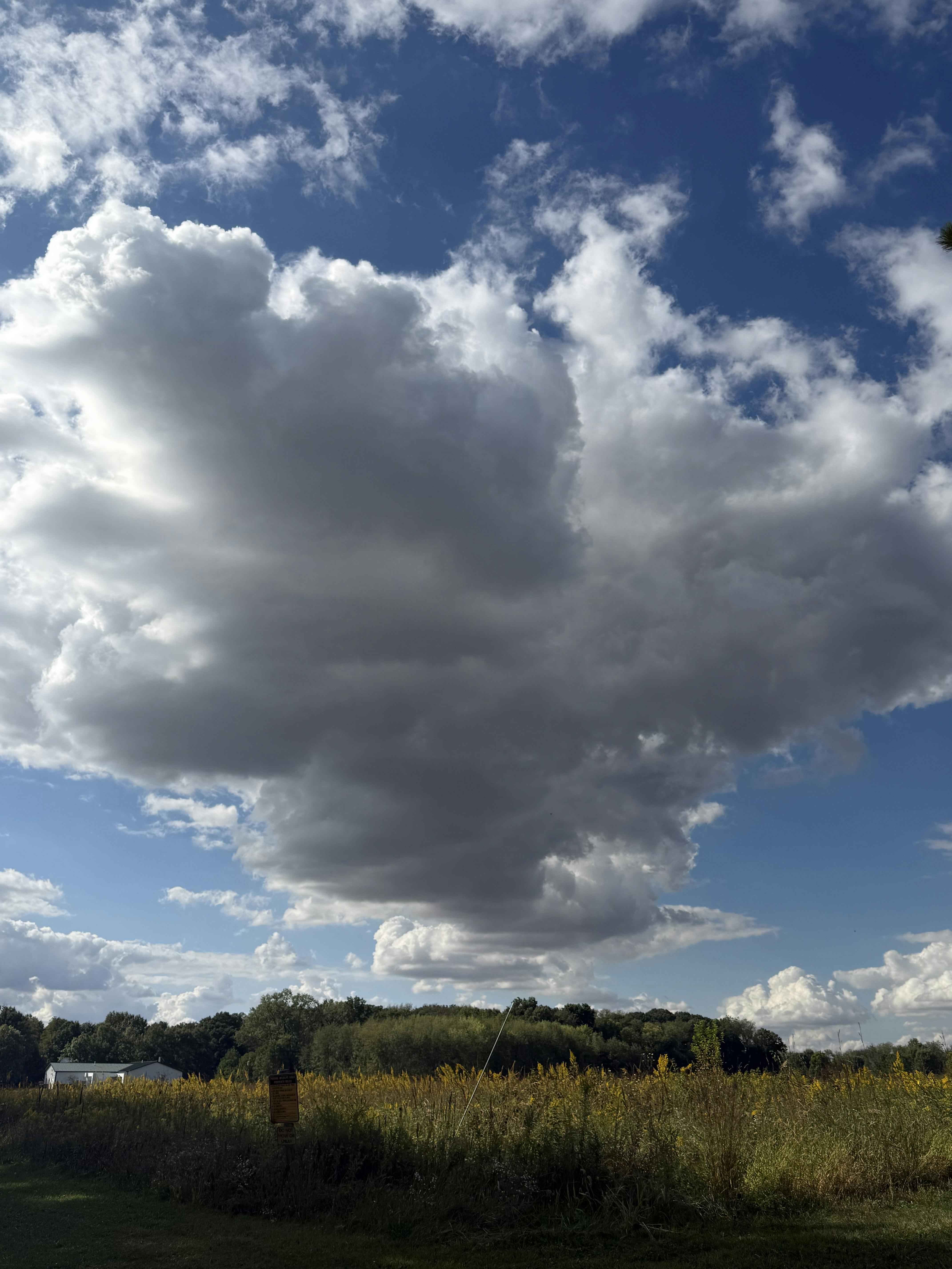 IMG_20250925_170309 (3).jpg