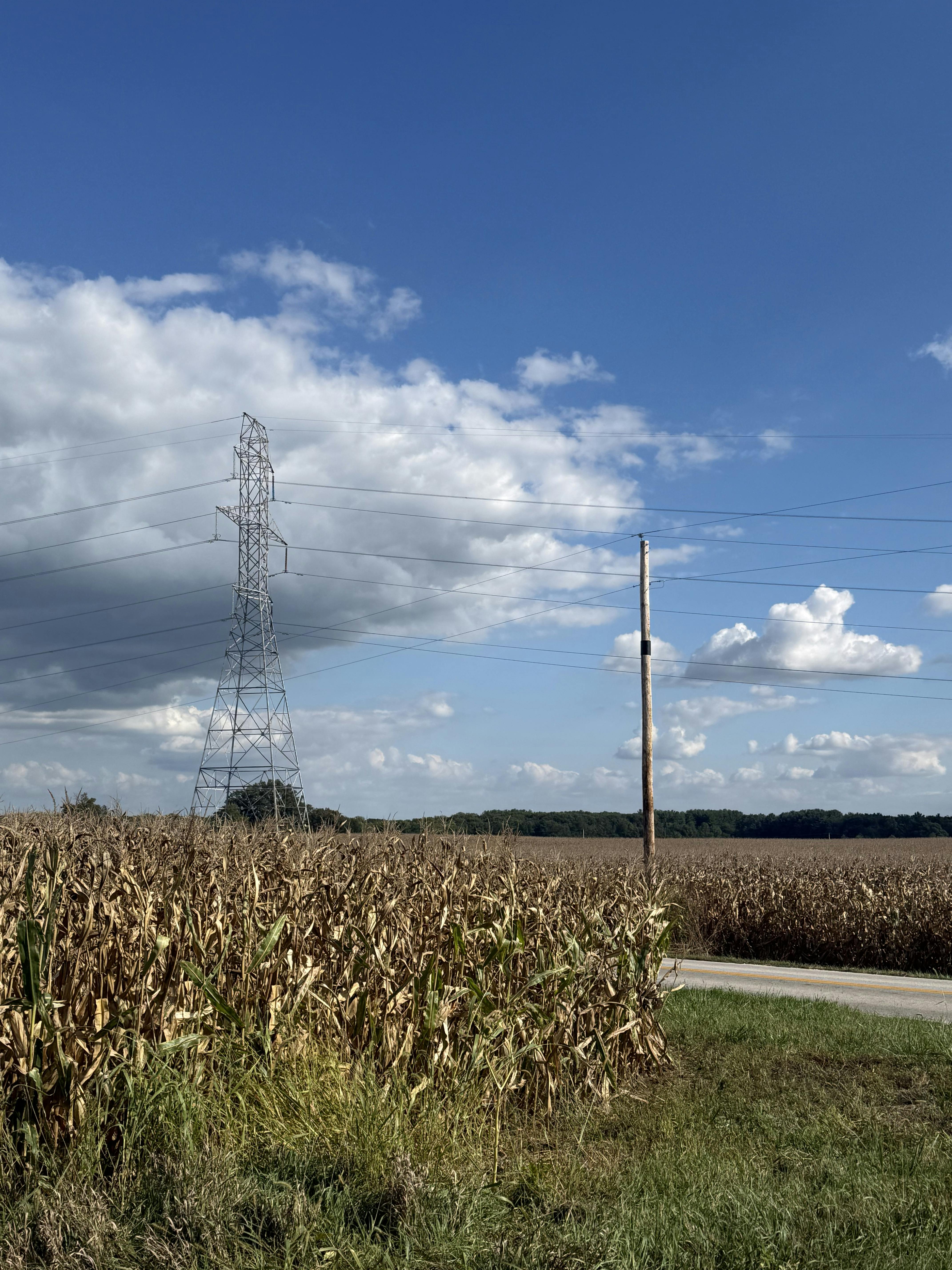 IMG_20250925_170309 (1).jpg