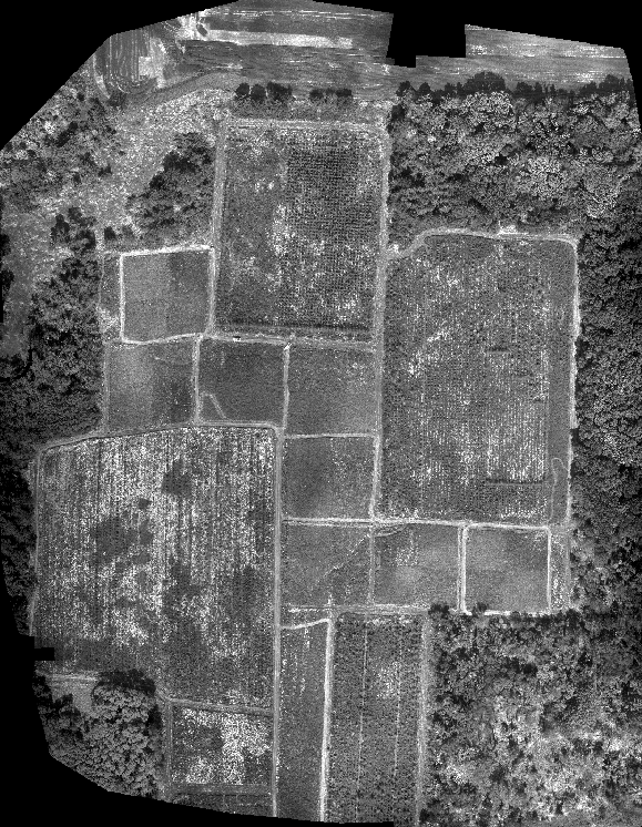 Screenshot 2025-11-02 191508.png