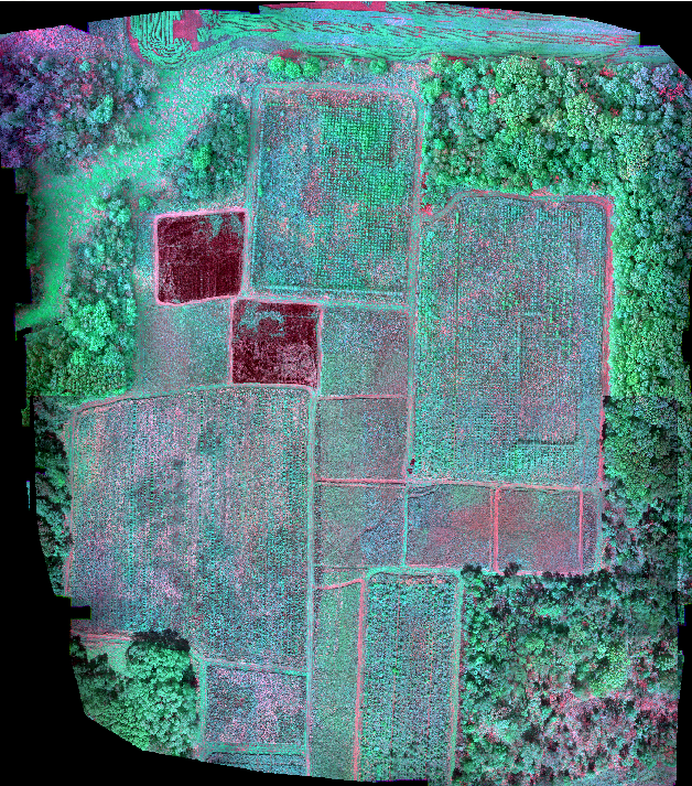 Screenshot 2025-11-02 191209.png