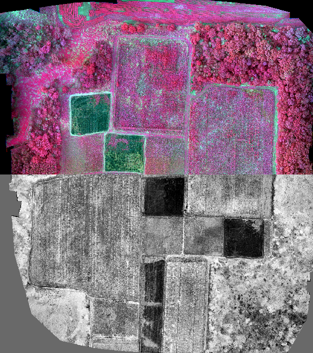 Screenshot 2025-11-02 190601.png