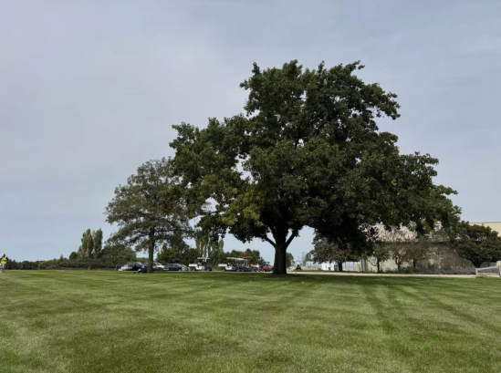 Screenshot 2025-09-09 153203.png