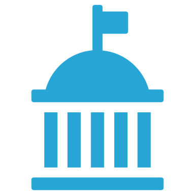 noun-government-3971643-27A5D5.png