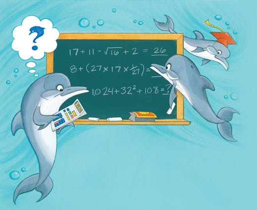 dolphin.jpg