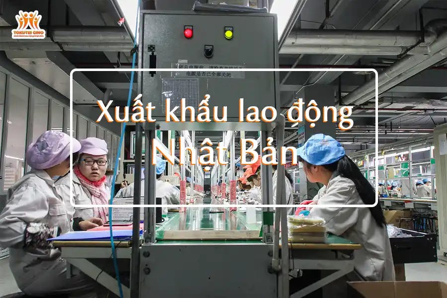 ngành nghề phổ biến khi xuất khẩu lao động Nhật Bản