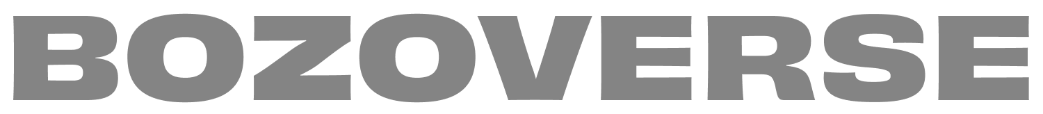 BV-Logo-Grey.png