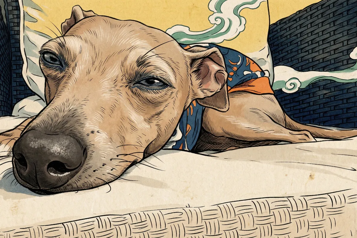 chillin with izzy.jpg