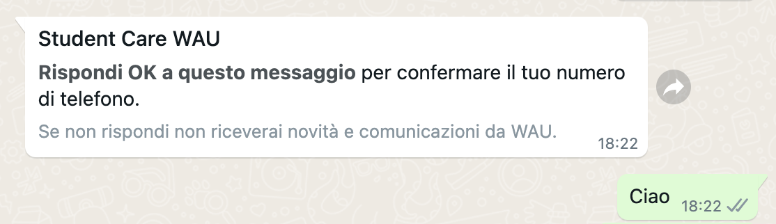 Schermata 2023-07-05 alle 19.37.58.png