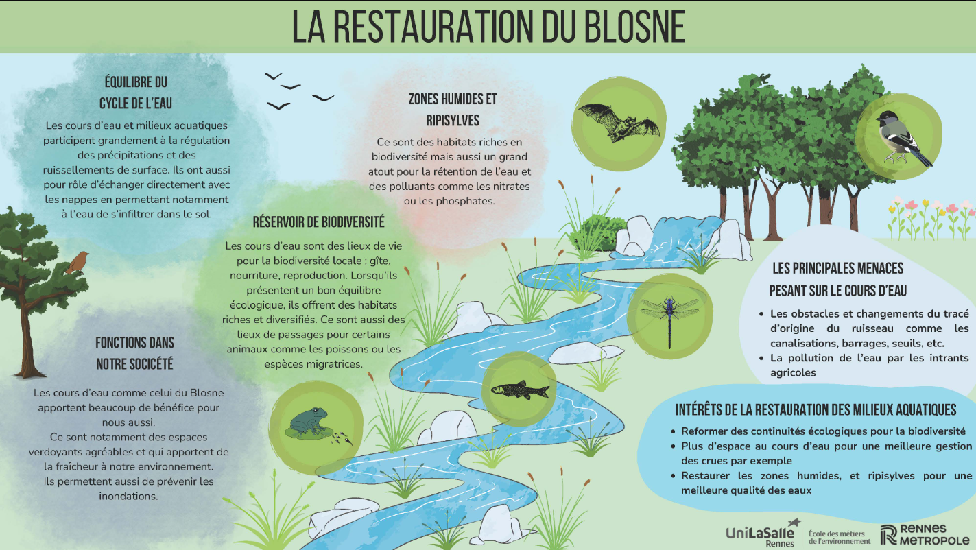 Capture d'écran 2025-06-20 103102.png