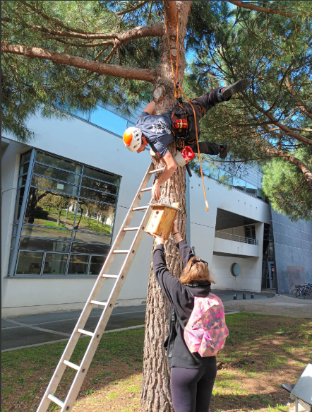 Capture d'écran 2025-06-20 103732.png