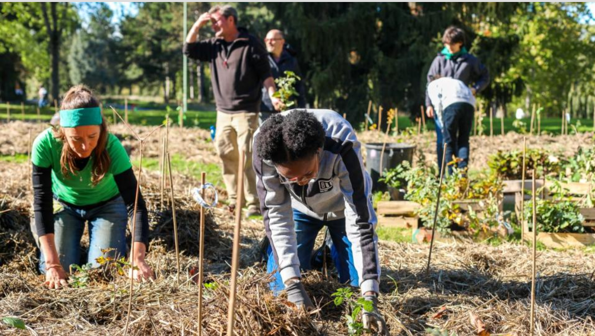 Capture d'écran 2025-06-20 102847.png