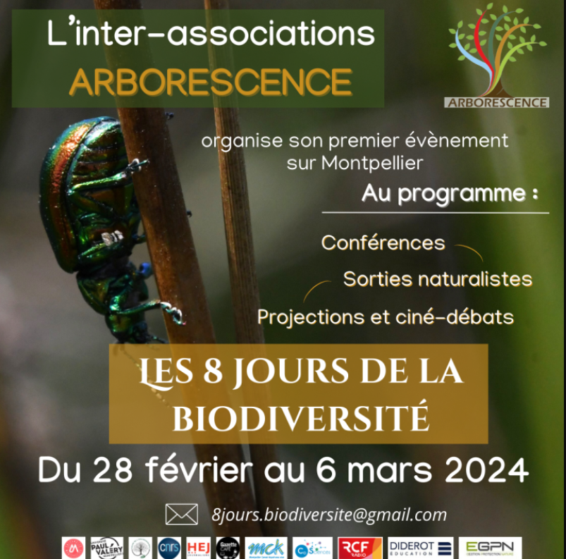 Capture d'écran 2025-06-20 103557.png