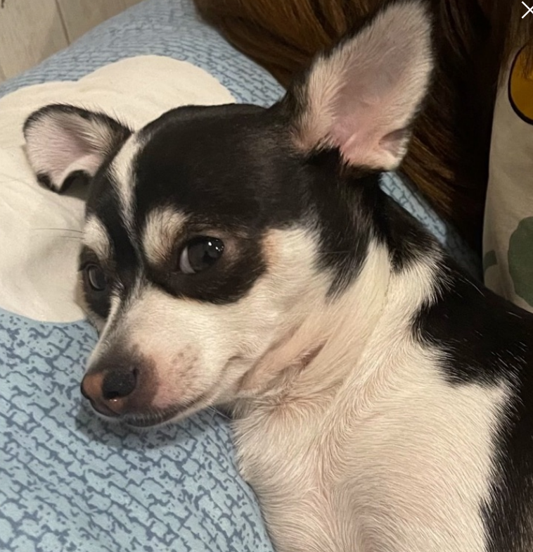 Screenshot 2567-09-27 at 17.27.50.png