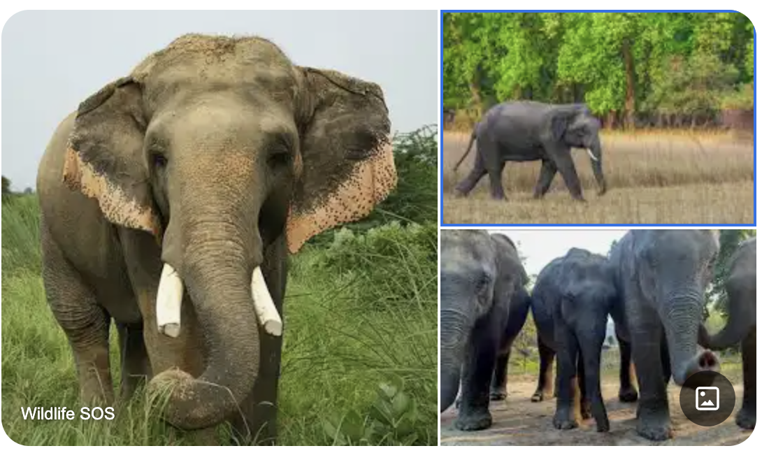 Screenshot 2567-11-08 at 08.35.32.png