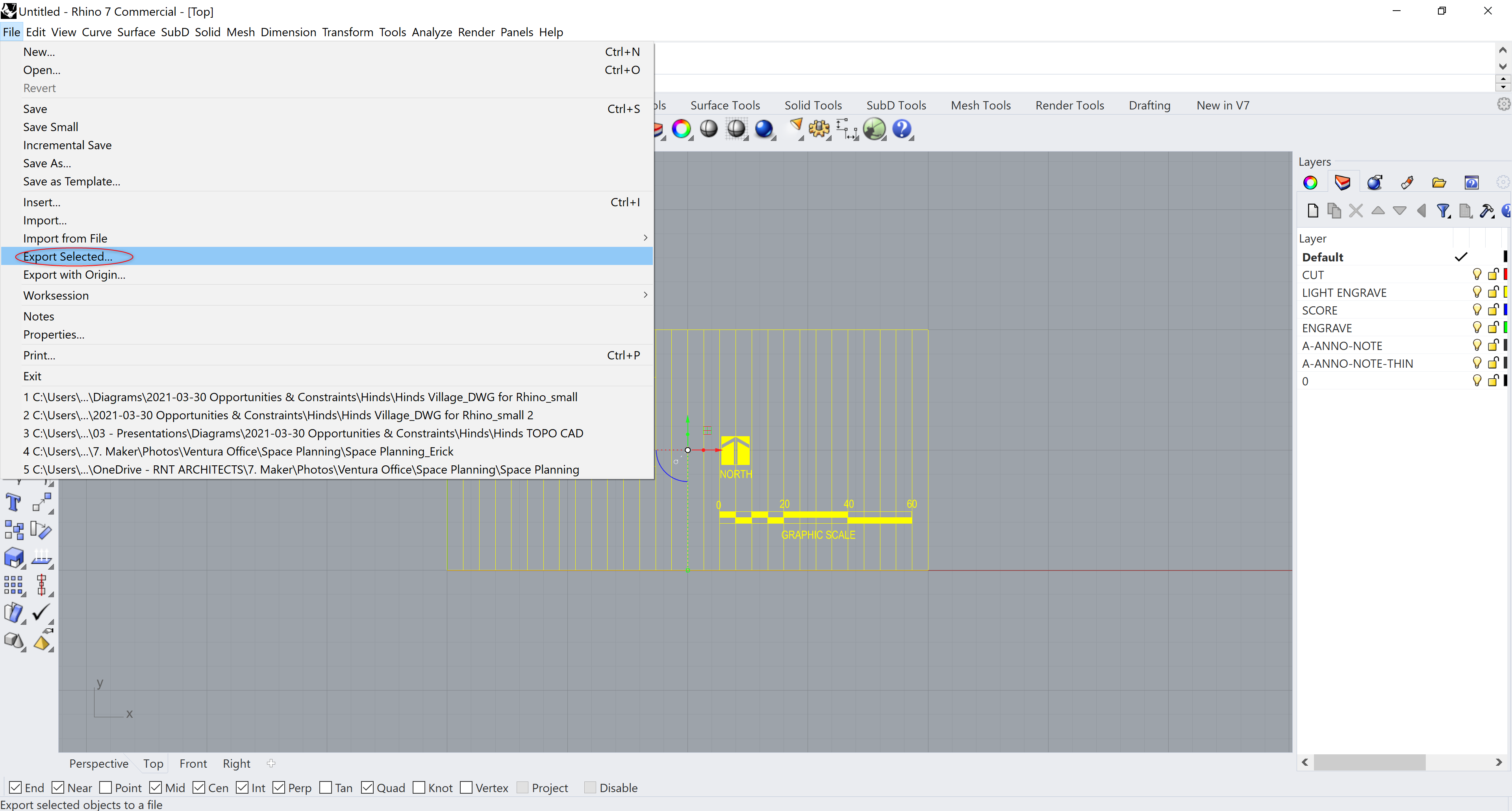 Rhino_Sheet_2.png