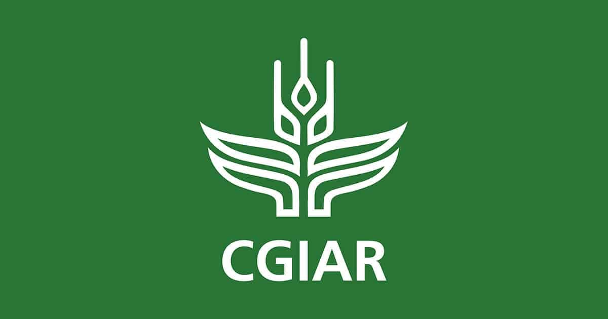 cgiar.6a0021ef234391605954.jpg