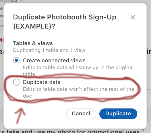 duplicate-data.png