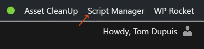 Script manager tab