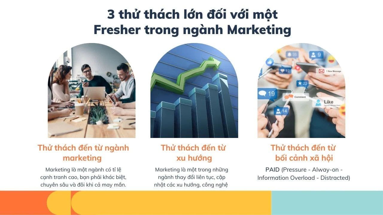 A33 Newbie Marketing 3 1658111169