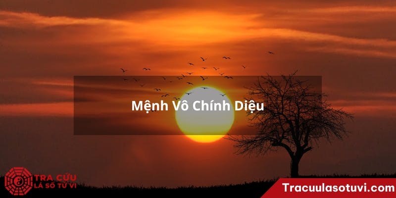 Menh-Vo-Chinh-Dieu.jpg