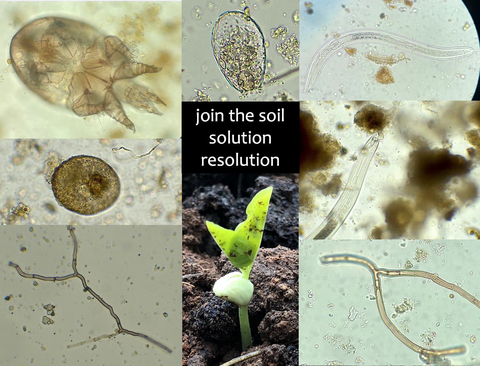 Screen Shot 2022-12-06 at 12.57.30 pm.png