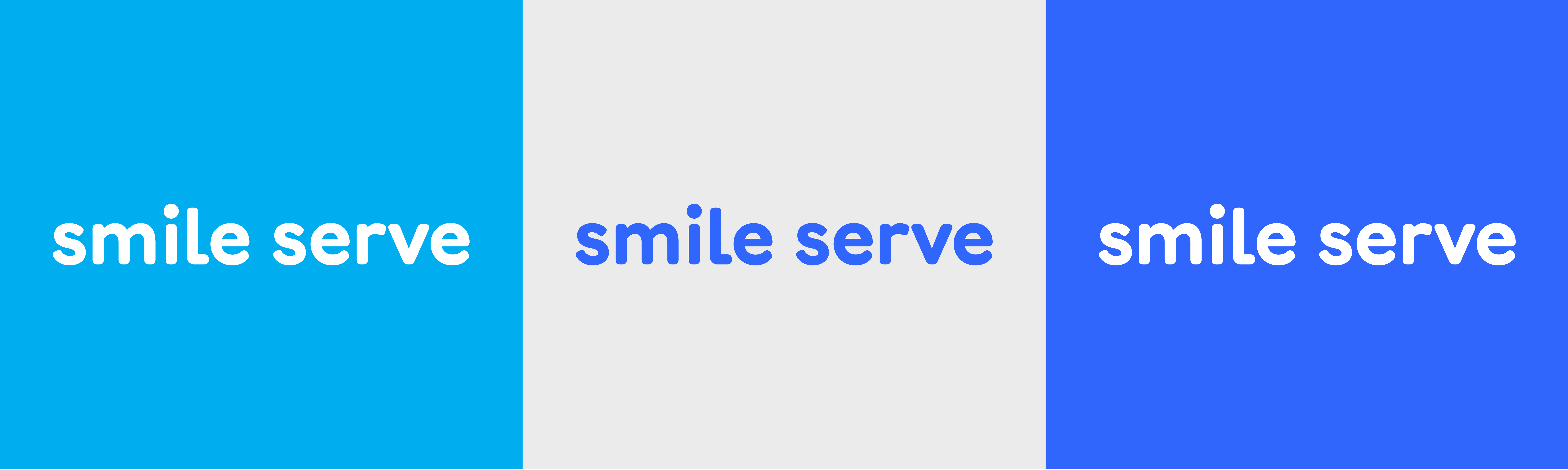 SS_Horizontal Color Variations.png