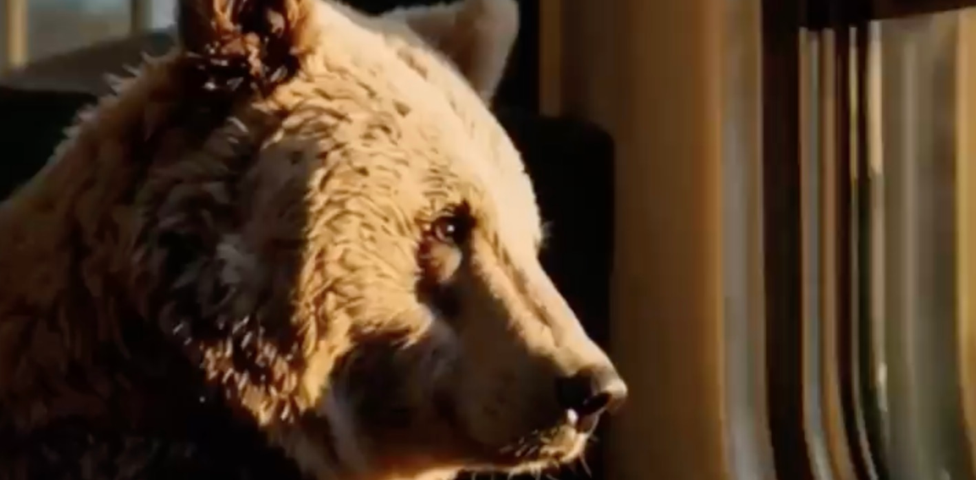 Captura de pantalla 2025-05-21 a las 12.37.02.png