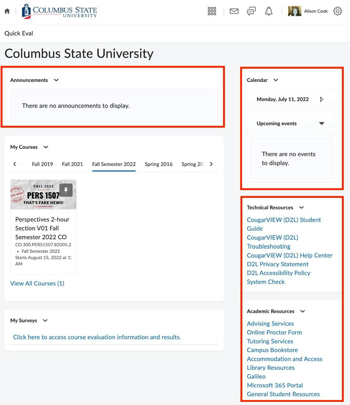 CougarView Hompage.JPG