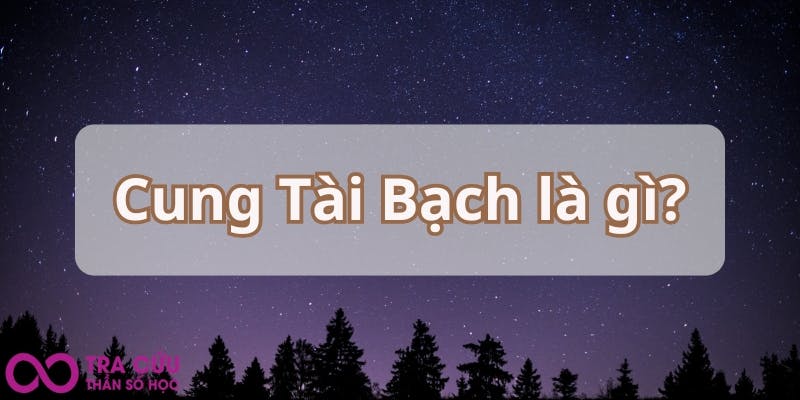 Cung Tài Bạch là gì.jpg