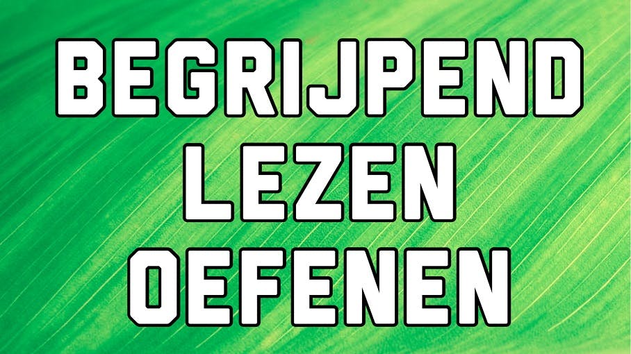 Begrijpend-lezen-oefenen.jpg