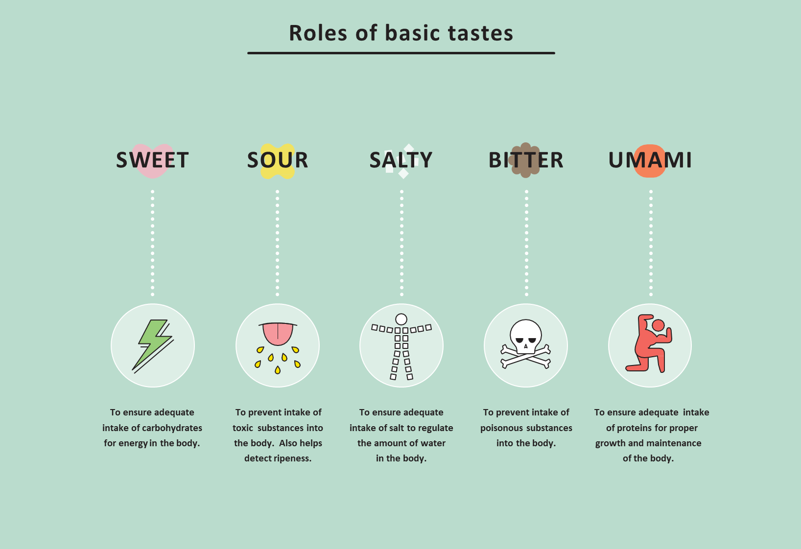 Roles of basic tastes.png